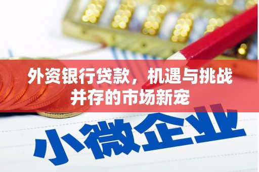 花都外资银行贷款，机遇与挑战并存的市场新宠