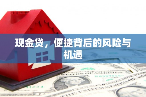 花都现金贷，便捷背后的风险与机遇