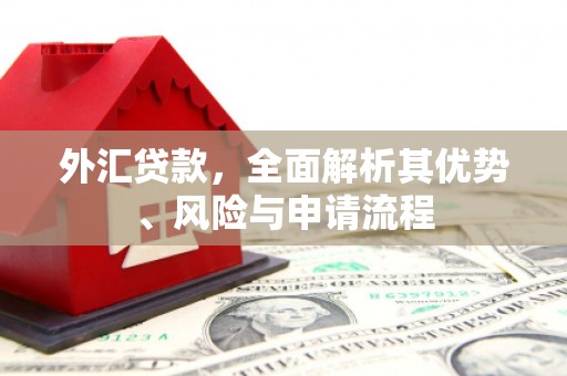 花都外汇贷款，全面解析其优势、风险与申请流程