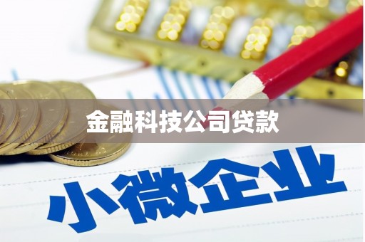 花都金融科技公司贷款