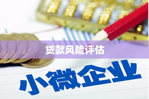 花都贷款风险评估