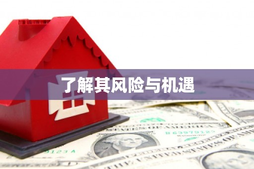 花都了解其风险与机遇