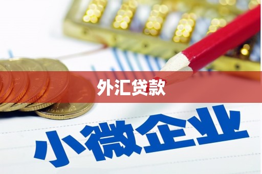 花都外汇贷款