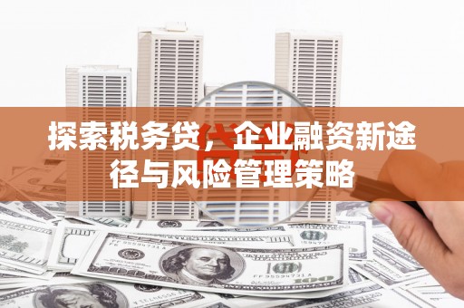 花都探索税务贷，企业融资新途径与风险管理策略