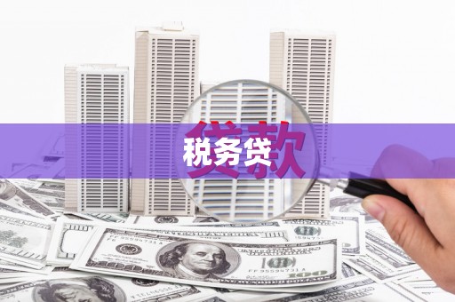 花都税务贷