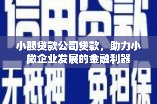 花都小额贷款公司贷款，助力小微企业发展的金融利器