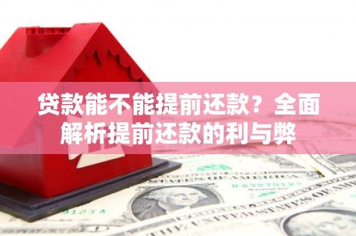 花都贷款能不能提前还款？全面解析提前还款的利与弊