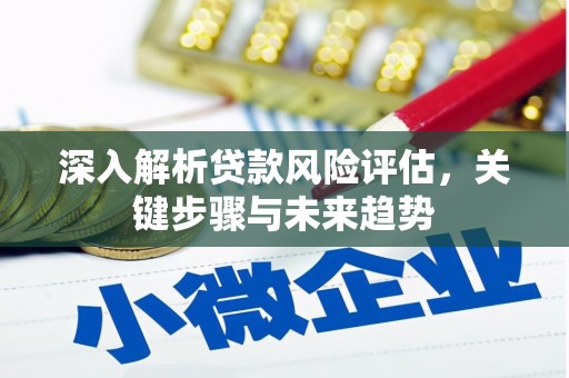 花都深入解析贷款风险评估，关键步骤与未来趋势