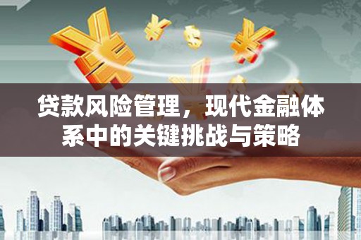 花都贷款风险管理，现代金融体系中的关键挑战与策略