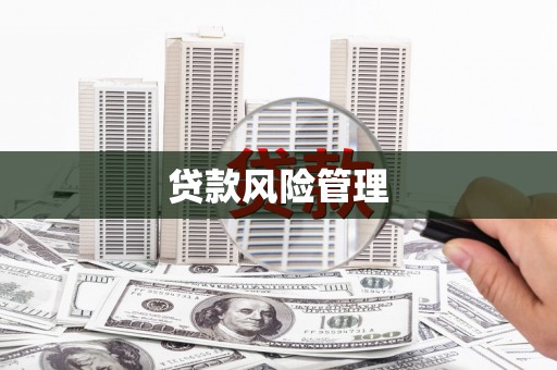 花都贷款风险管理