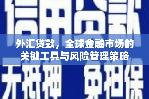 花都外汇贷款，全球金融市场的关键工具与风险管理策略