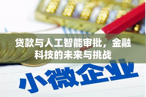 花都贷款与人工智能审批，金融科技的未来与挑战
