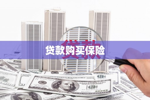 花都贷款购买保险