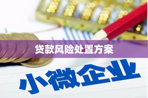 花都贷款风险处置方案