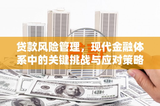 花都贷款风险管理，现代金融体系中的关键挑战与应对策略