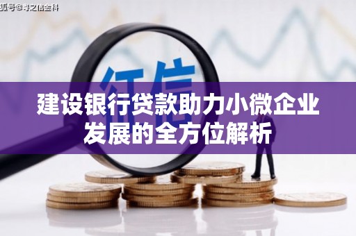 花都建设银行贷款助力小微企业发展的全方位解析