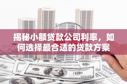 花都揭秘小额贷款公司利率，如何选择最合适的贷款方案