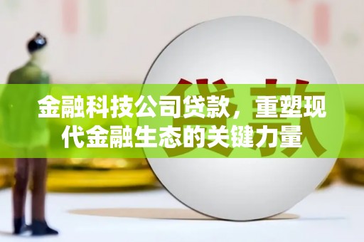 花都金融科技公司贷款，重塑现代金融生态的关键力量