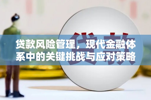 花都贷款风险管理，现代金融体系中的关键挑战与应对策略