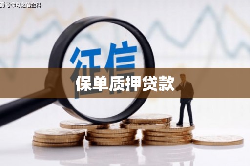 花都保单质押贷款