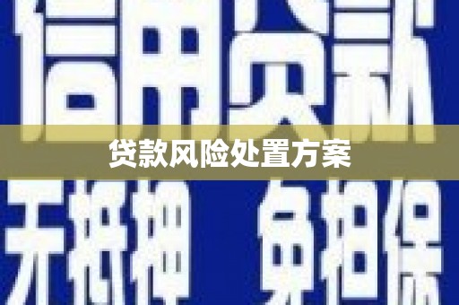 花都贷款风险处置方案