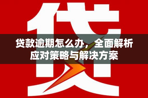 花都贷款逾期怎么办，全面解析应对策略与解决方案