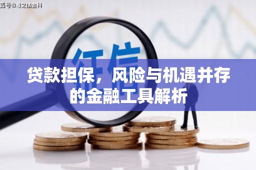 花都贷款担保，风险与机遇并存的金融工具解析