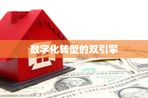 花都数字化转型的双引擎
