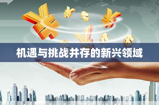 花都机遇与挑战并存的新兴领域