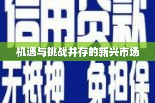 花都机遇与挑战并存的新兴市场