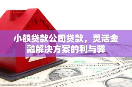 花都小额贷款公司贷款，灵活金融解决方案的利与弊